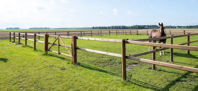 Paardenomheining Arfman