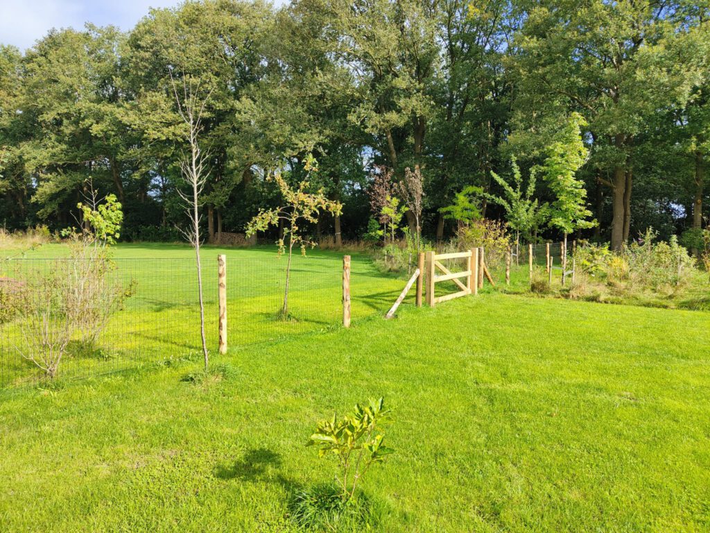 houten hekwerk