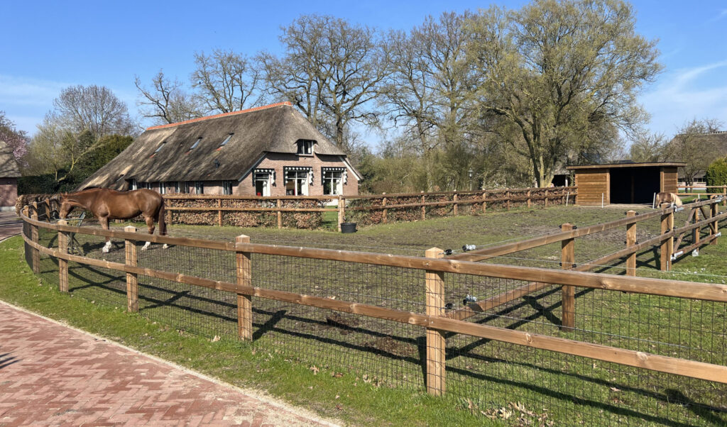 paardenomheining