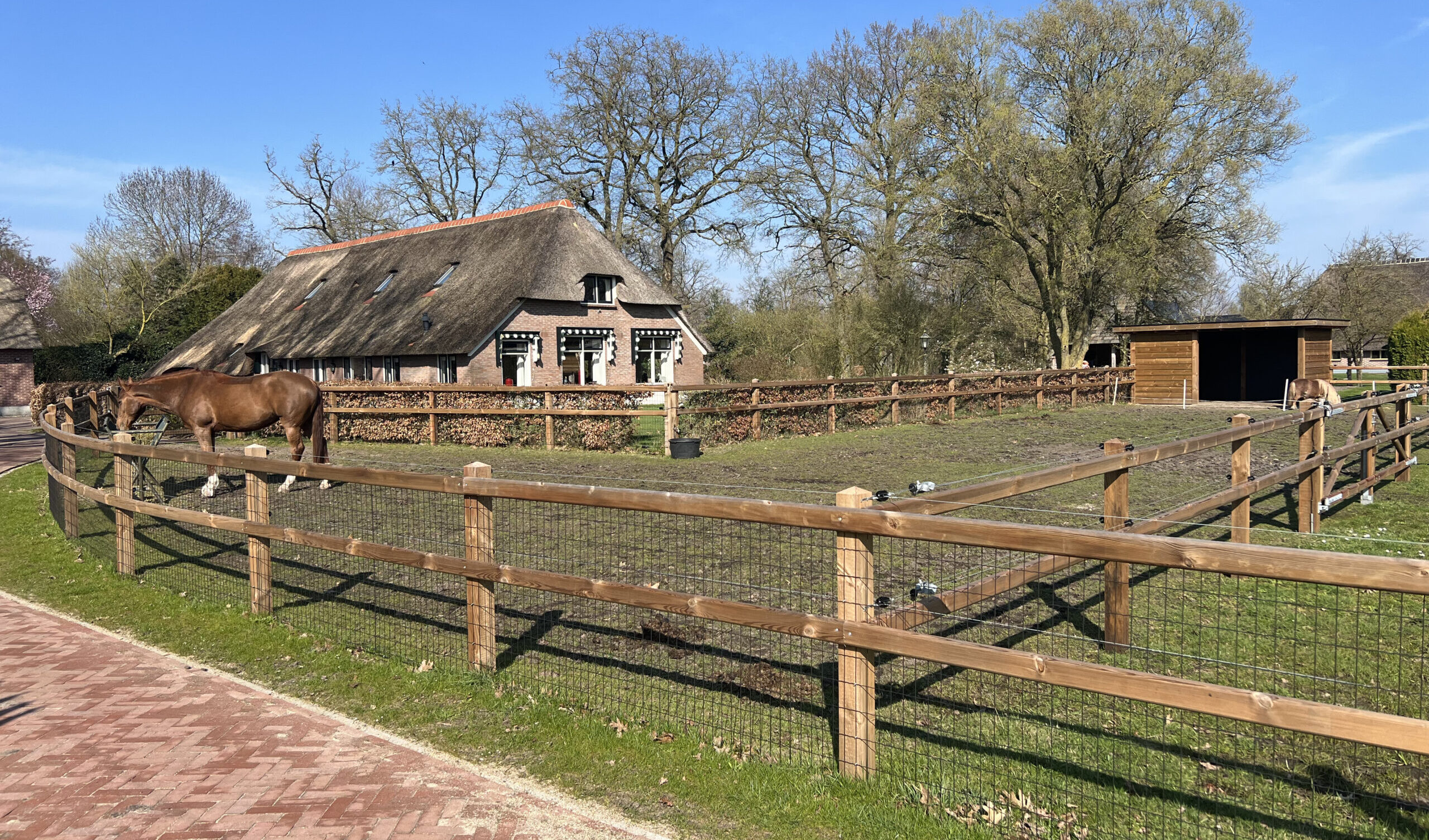 paardenomheining