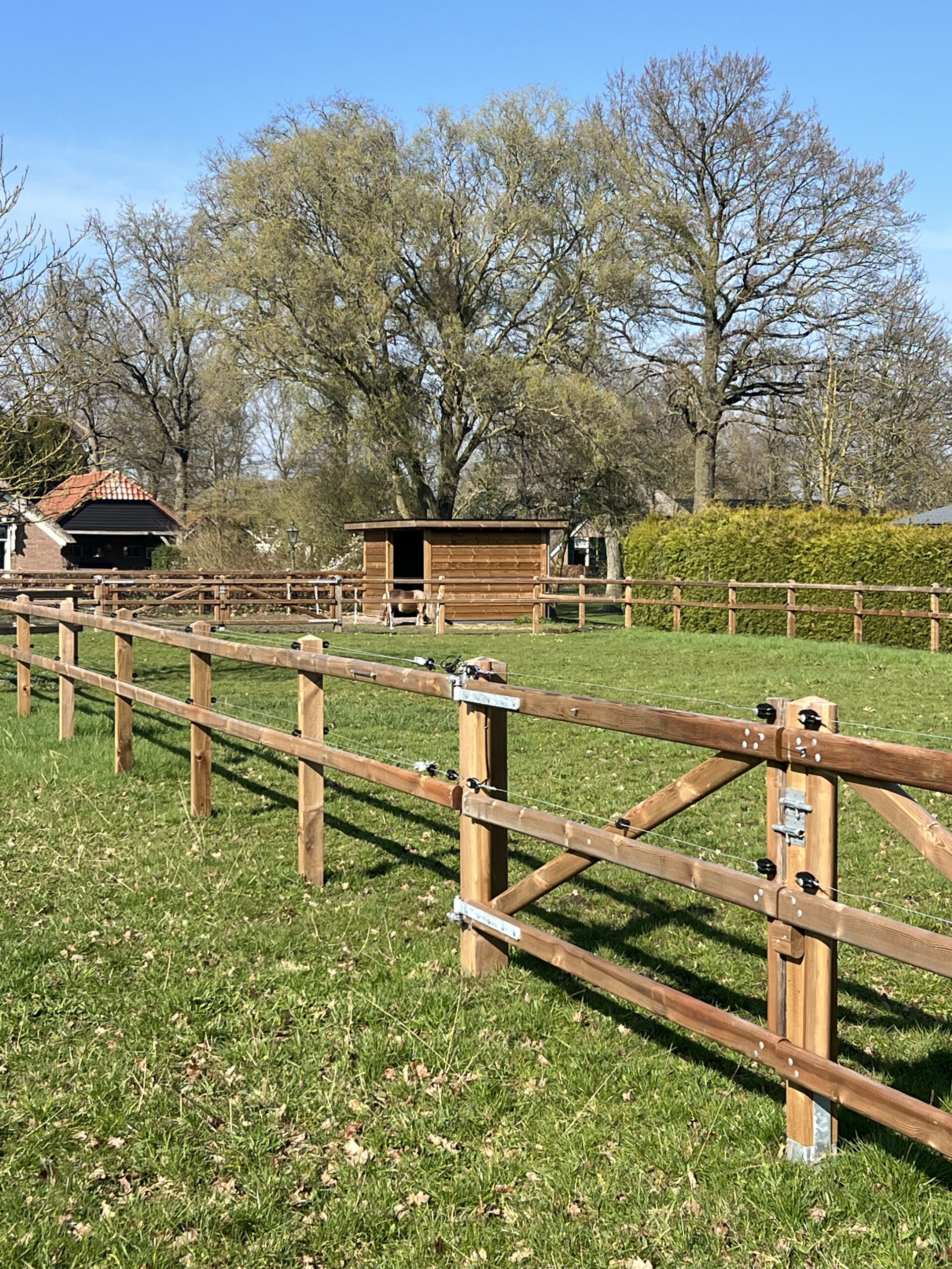 Paarden omheining