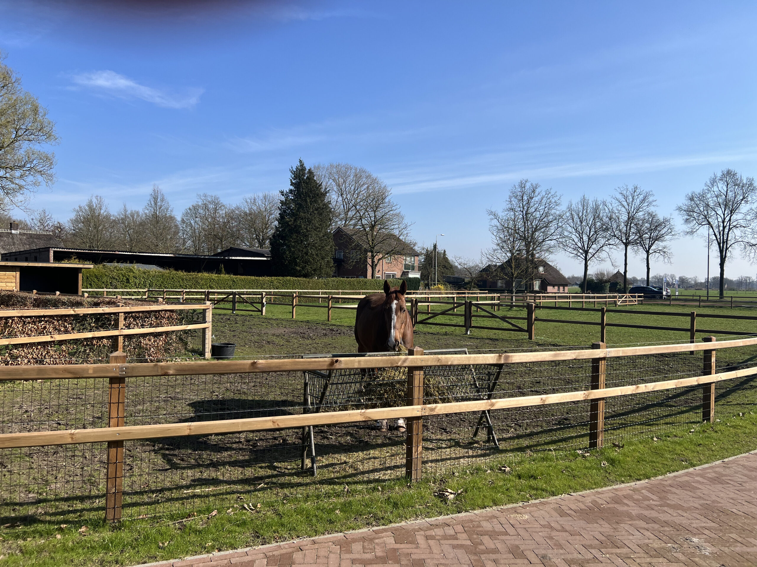 Paardenomheining Arfman