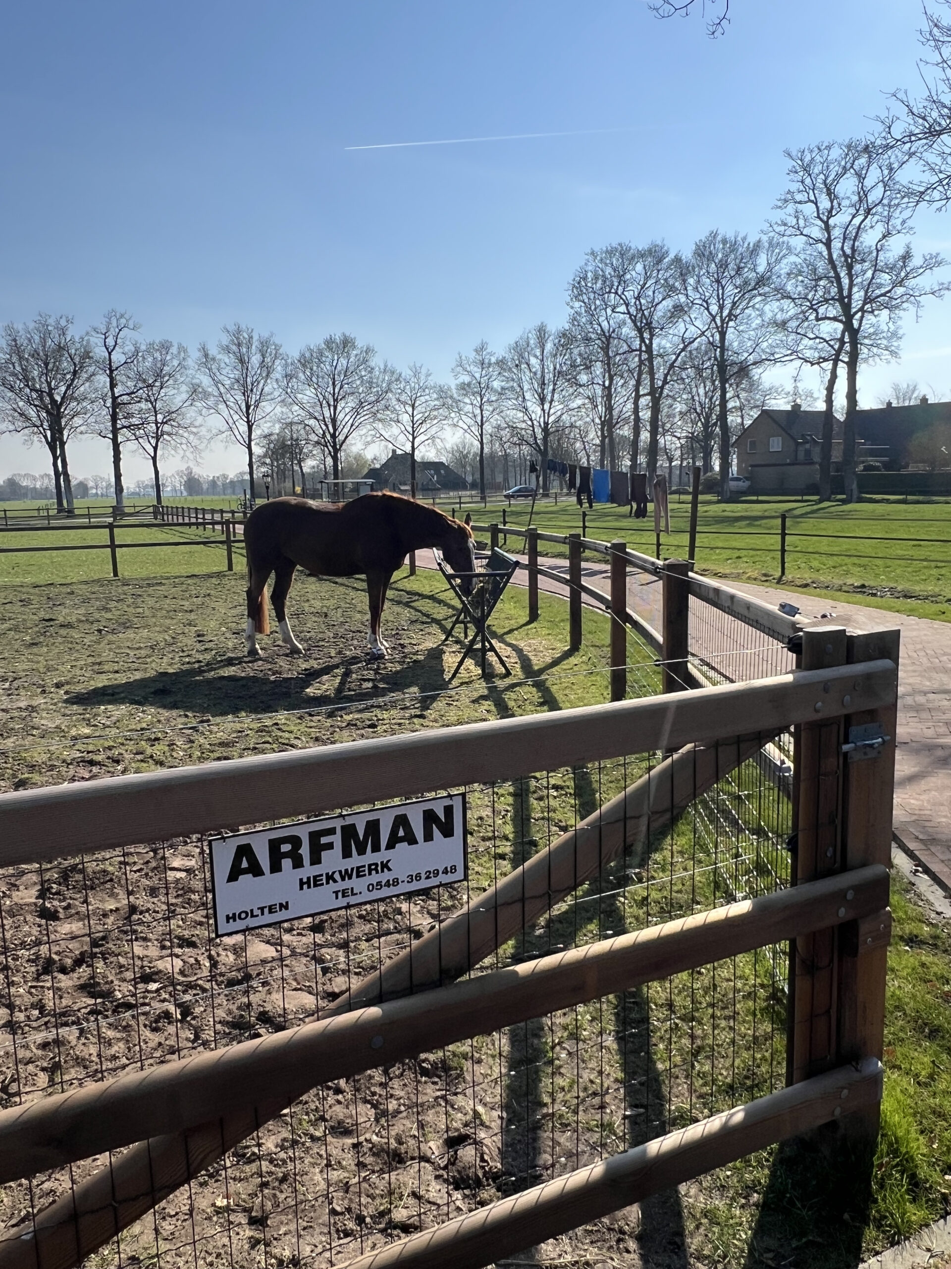 paard