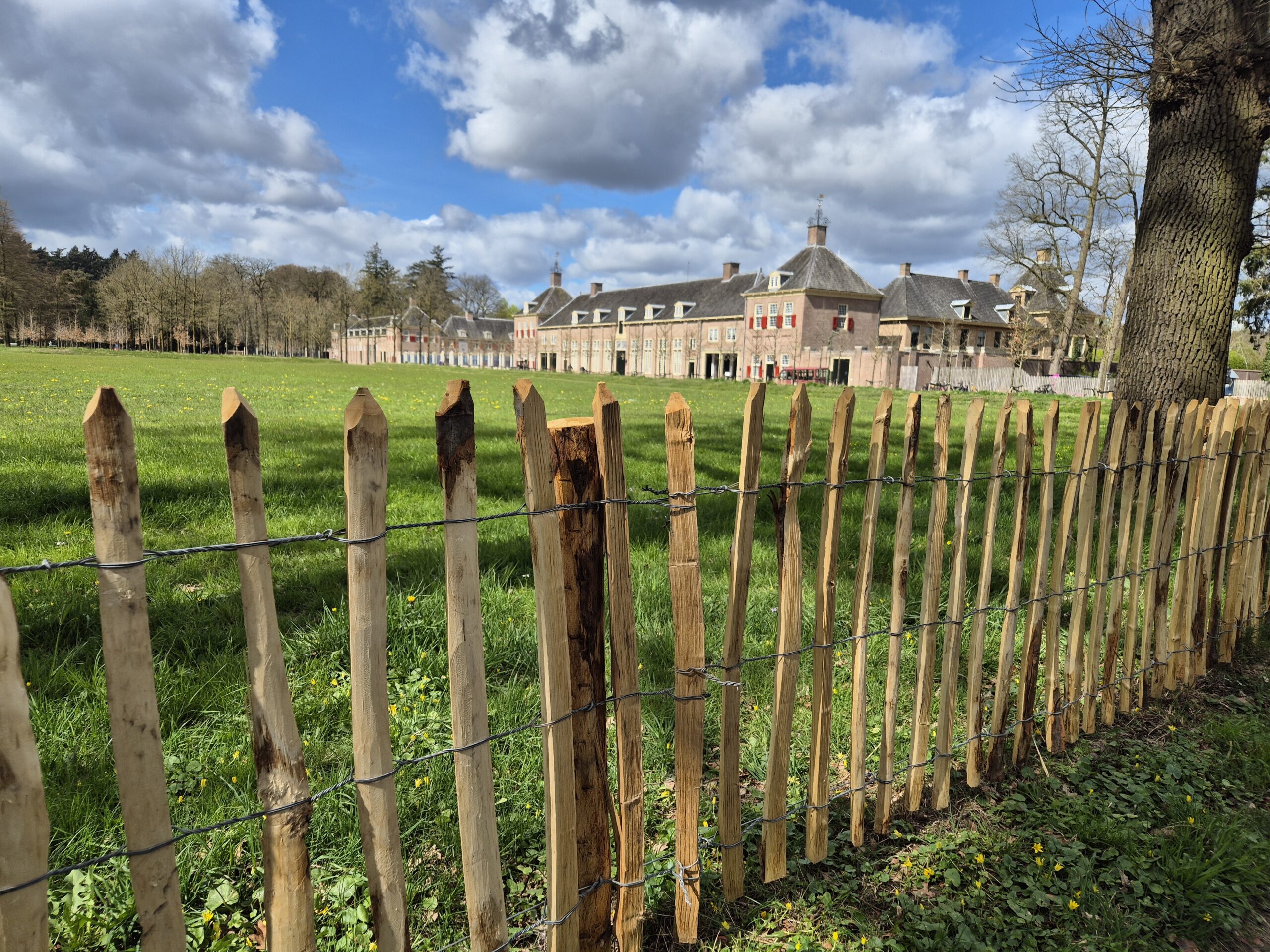 Engels schapenhekwerk bij Paleis ’t Loo
