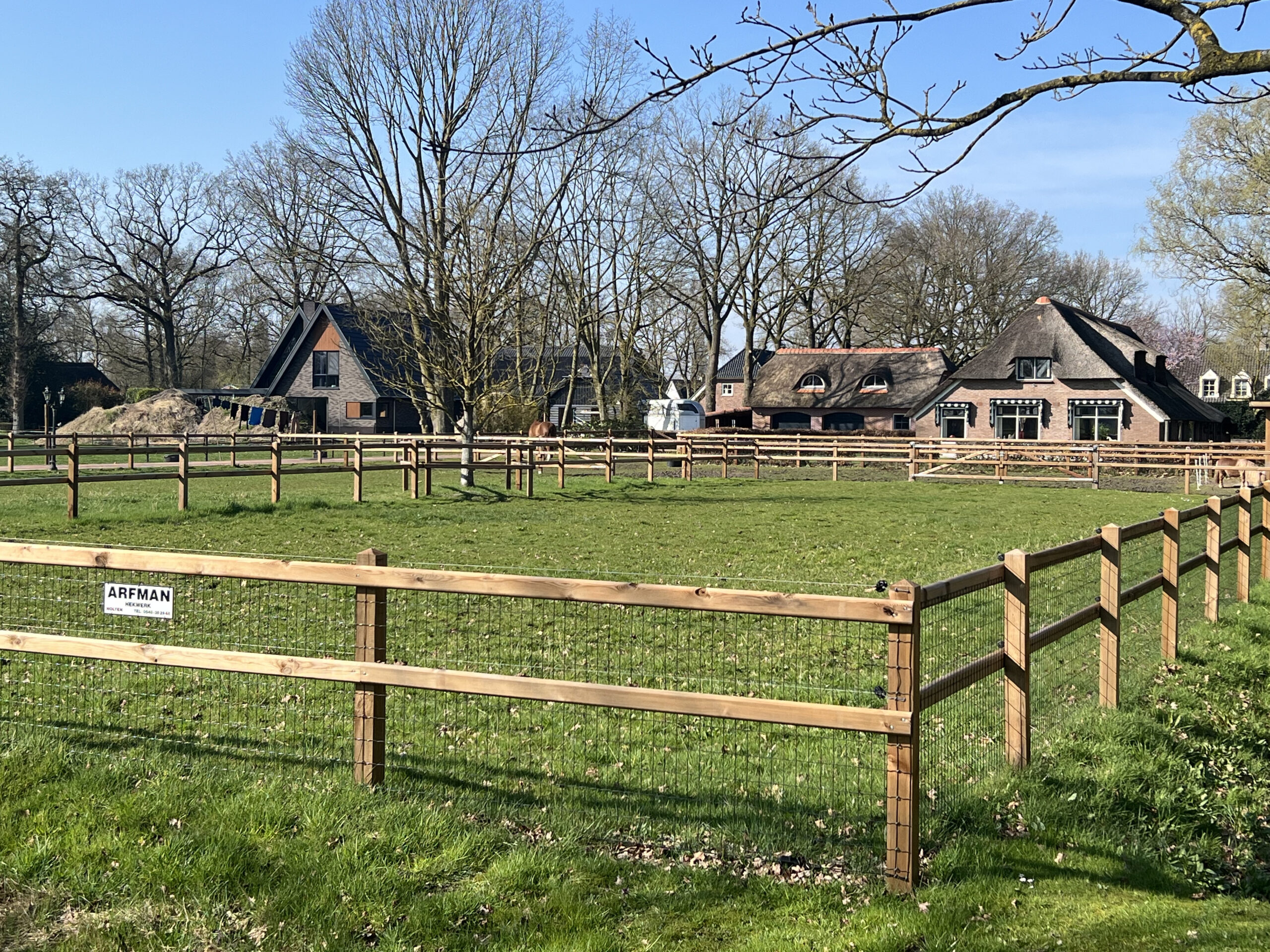 Paarden weide