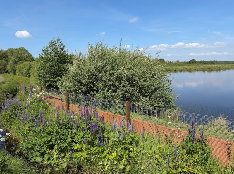 faunatunnels Mantingerveld