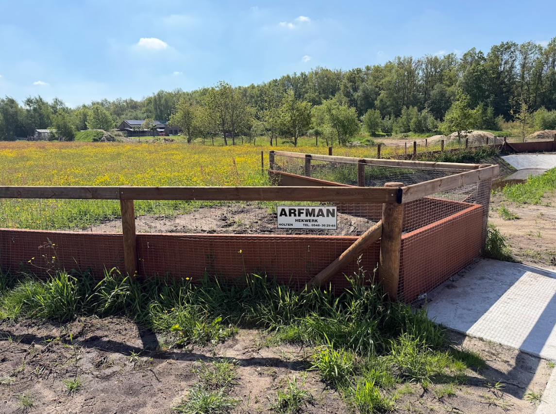 Hekwerk Mantingerveld