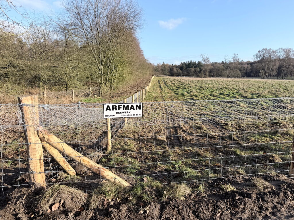 zwartwildraster Arfman
